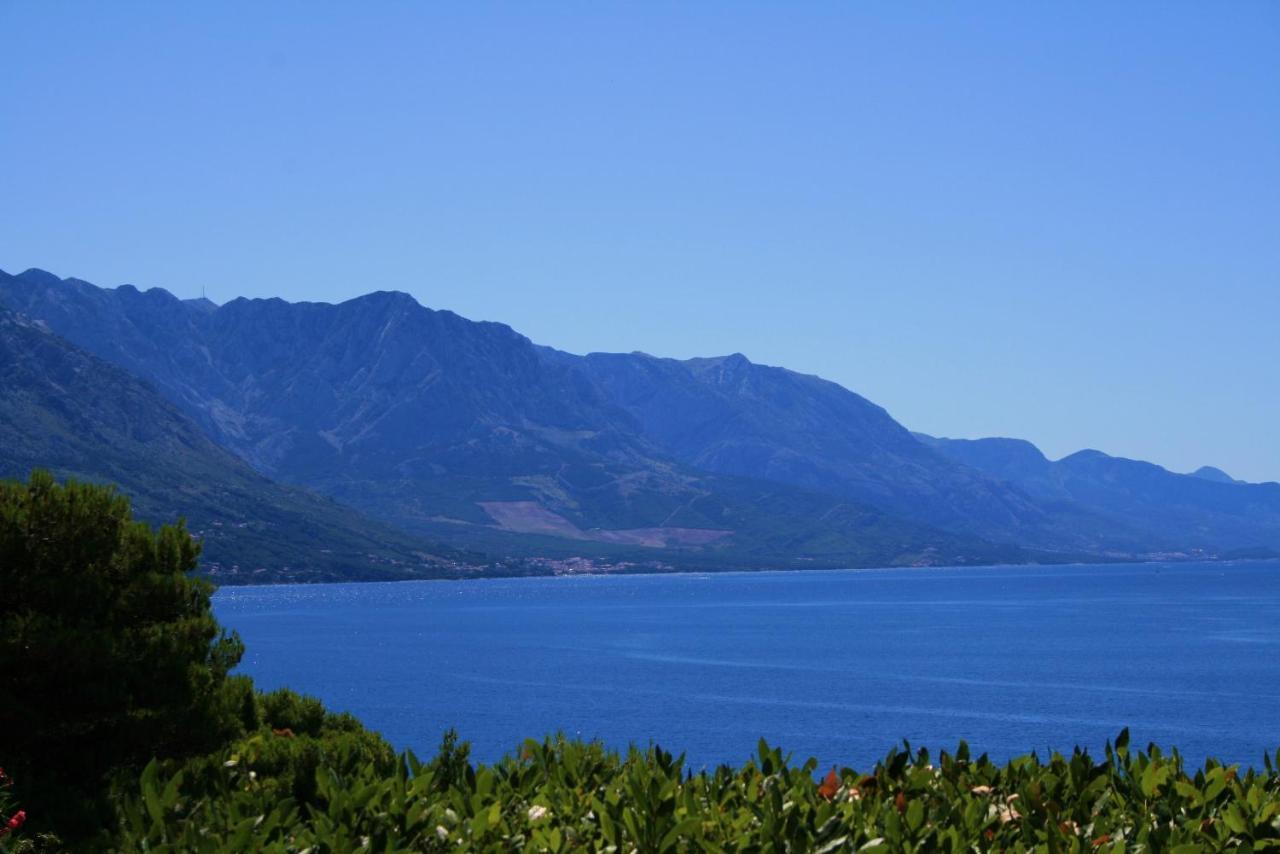 Apartments Villa Mandolina Marusici  Buitenkant foto